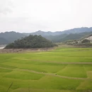 宁波旅游 缩略图 10