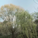 宁波旅游 缩略图 12