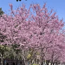 宁波旅游 缩略图 1