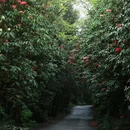 毕节旅游 缩略图 7