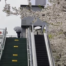 宁波旅游 缩略图 4
