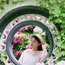 无锡旅游 缩略图 13