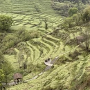 黄山旅游 缩略图 11