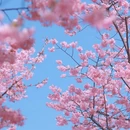 宁波旅游 缩略图 7