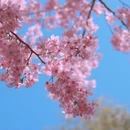 宁波旅游 缩略图 6