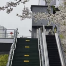 宁波旅游 缩略图 3