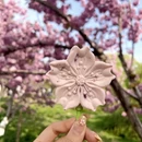 北京旅游 缩略图 10