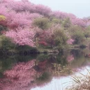 丽水旅游 缩略图 7