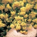 毕节旅游 缩略图 5