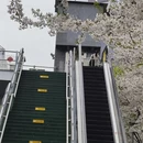 宁波旅游 缩略图 5