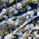 宁波旅游 缩略图 2