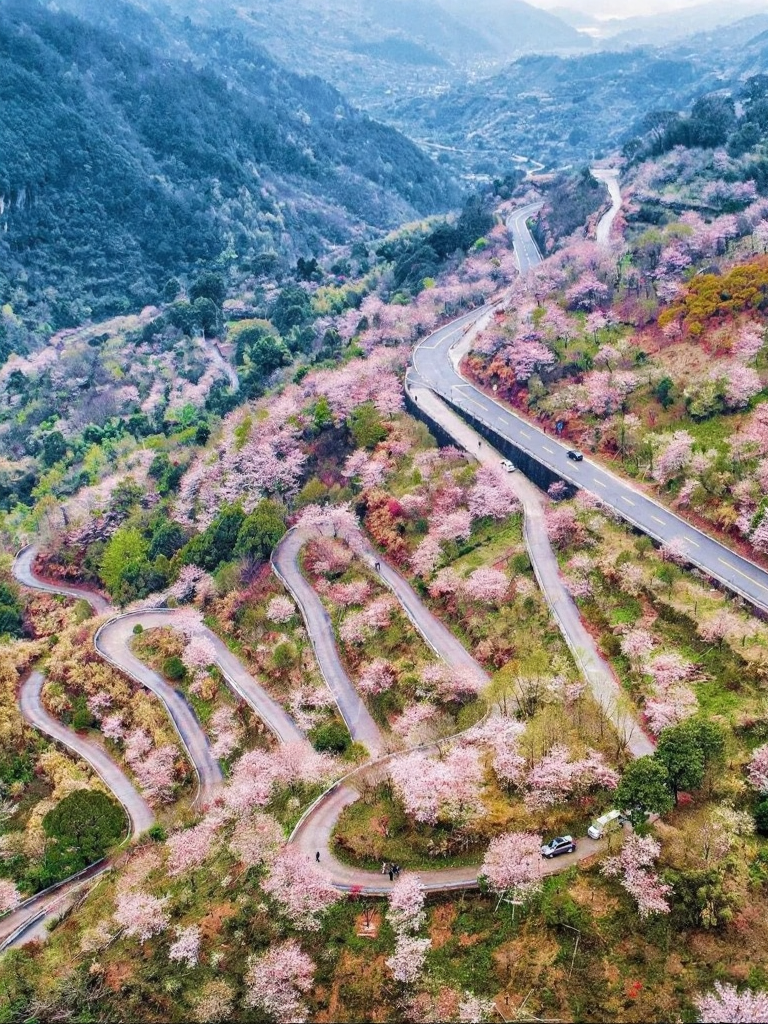 宁波旅游