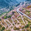 宁波旅游 缩略图 1