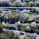 宁波旅游 缩略图 3