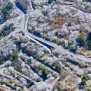 宁波旅游 缩略图 5
