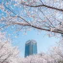 宁波旅游 缩略图 5