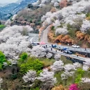 宁波旅游 缩略图 4