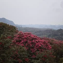 毕节旅游 缩略图 1