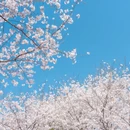 宁波旅游 缩略图 9