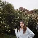毕节旅游 缩略图 3