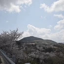 宁波旅游 缩略图 18