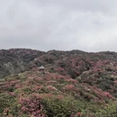 毕节旅游 缩略图 2