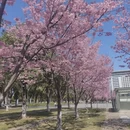 宁波旅游 缩略图 10