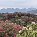 毕节旅游 缩略图 4