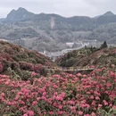 毕节旅游 缩略图 3