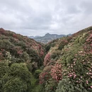 毕节旅游 缩略图 6