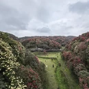 毕节旅游 缩略图 5