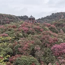 毕节旅游 缩略图 7