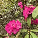 毕节旅游 缩略图 9