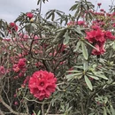 毕节旅游 缩略图 10