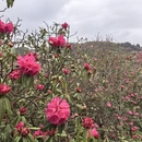 毕节旅游 缩略图 8
