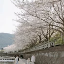 宁波旅游 缩略图 1