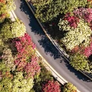 贵阳旅游 缩略图 4