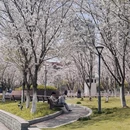 宁波旅游 缩略图 1