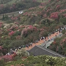 毕节旅游 缩略图 6