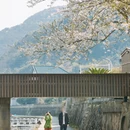 宁波旅游 缩略图 7