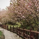 宁波旅游 缩略图 7