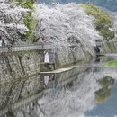 黄山旅游 缩略图 2