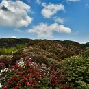 毕节旅游 缩略图 1