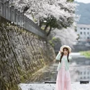 黄山旅游 缩略图 3