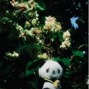 宁波旅游 缩略图 10