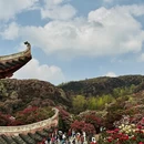 毕节旅游 缩略图 2