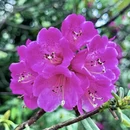 毕节旅游 缩略图 5