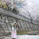 黄山旅游 缩略图 7
