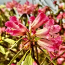 毕节旅游 缩略图 6