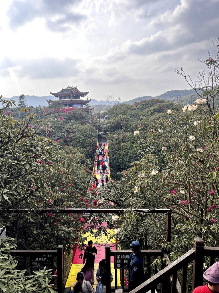 遵义旅游